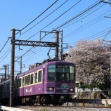 『江ノ電　花の色』の画像