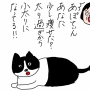 お盆で姉を連れに　そして　姉の家の猫３+１