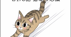 あんこ＆麦2475 猫は不思議