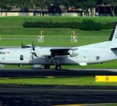 シンガポール空軍のF50