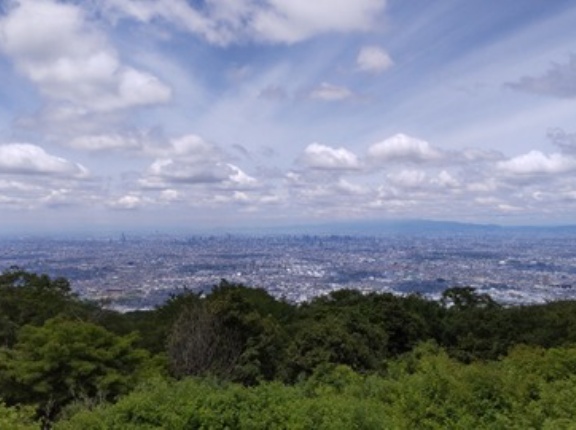 おはようございます＼(^o^)／