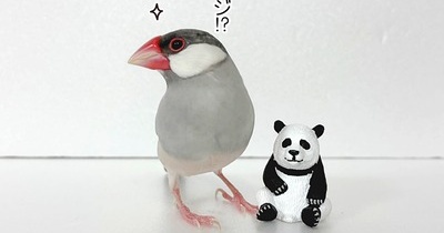 ポジション争い