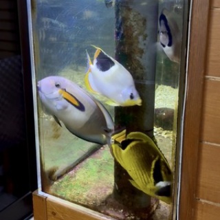 Beach Field　いいかげん日記帳Ⅲ