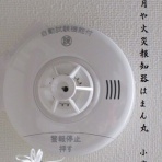 小夜衣 　（五七五ブログ）