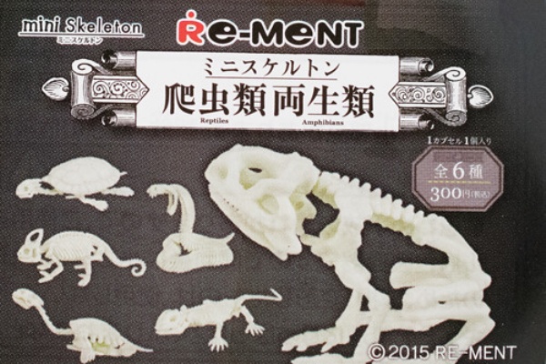 ふぃぎゅる！ - ポーズスケルトン