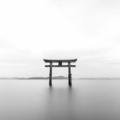 ご案内【392th　中世土器研究に地域史把握の手法を学ぶ】　7/25　近江貝塚研　7月例会