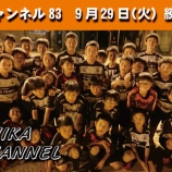 『シカチャンネル83』の画像