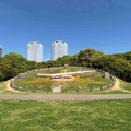 海浜幕張から昭和の森公園までの37km走