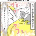 愛猫との幸せな就寝時間