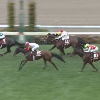 競馬総合まとめ速報