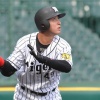 現役引退の今成が阪神球団職員に　アカデミー専属コーチ