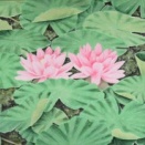 第12回「北日展」作品紹介③