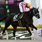 BOSS猿のアナログ肉眼競馬