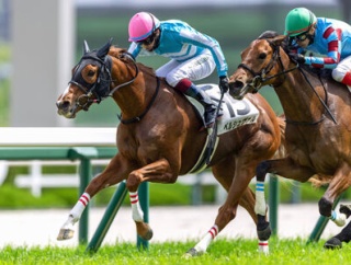 ベルシュヴァルが初勝利を挙げました！