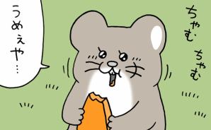 スキネズミ「ミモレット」