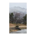 �ؽ���Ÿ������Ǥ��٤β���