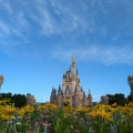灼熱の北海道を脱出して真夏のTDR＆ディズニーオンアイスを楽しむ2025夏休み　ダイジェスト