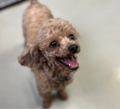 今日も皆さんお疲れ様でした🙏🙏🙏💓