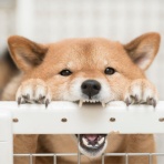 曇りのち晴れｗ