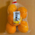 モーちゃんの言い分（佳来の日記）