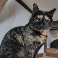 在籍１年２カ月　ついにまゆちゃんが卒業しました‼