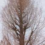 ニュース逆さ読み