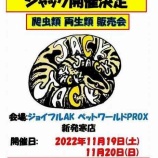 『【イベント情報】in北海道！！』の画像