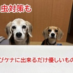 ガオだらけな日々　