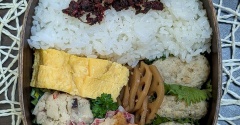 梅干しは手作りです（私の）ではない～夫のお弁当264