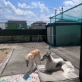 日向ぼっこ♪