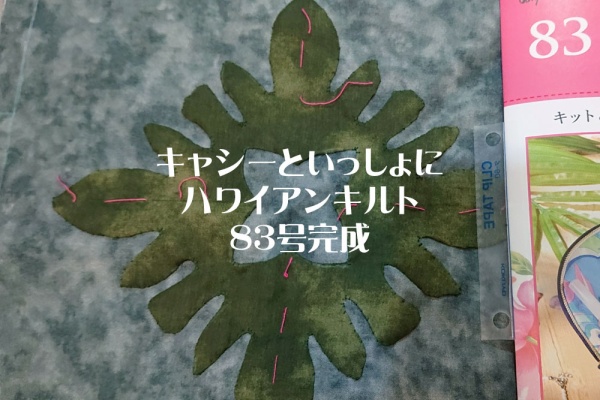 キャシーといっしょにハワイアンキルト29号 今日はキャシーといっしょにハワイアンキルト29号発売日