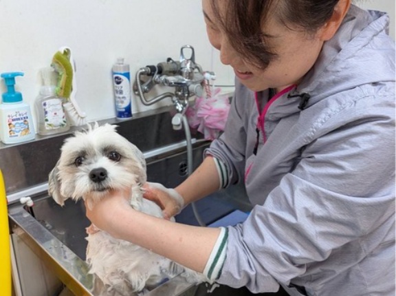 今日も皆さん有り難うございます🙏❤️🙏