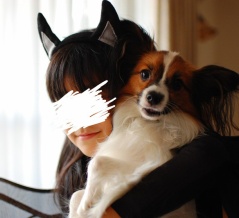 口数が減っている＆夜な夜な写真の整理