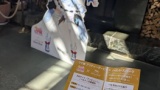お馬さん見に来た（※画像あり）