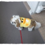 いつまでも一緒だよ♪