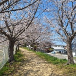 open_heart_shinkoのblog