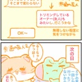 【Dog Salon Aroma】『猫の出張トリミング』を見学したよレポ【東京都江戸川区北小岩】