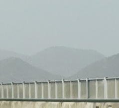 赤穂に戻りました