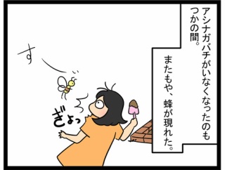 蜂さんの再来。