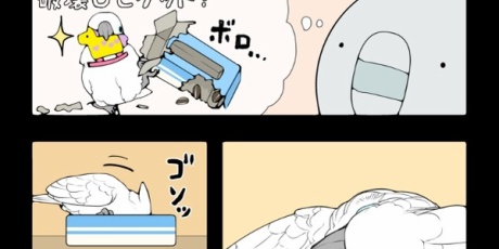 いたずらオウムの生活雑記 - オウム4コマ：日常