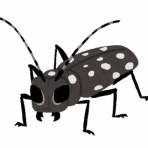 イミフｗｗｗ