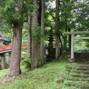 【群馬】　必見！手塚治虫の天井画！　白根魚苑　