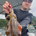 9月15日の調査報告🦑🦑🐙