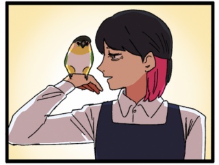 ぽぴ君はさ 田舎のインコと都会のインコ……どっちがいい？