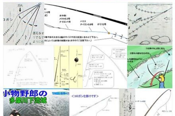 愛知三河の鮎 アマゴ レインボー うなぎ スッポン他 21年05月