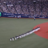 『残照のような…』の画像