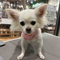 こんにちは🫠