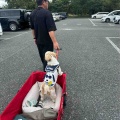 愛犬と一緒に舎人公園でピクニック。*\(^o^)/*