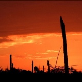 人類を絶滅させる最低限の力ってどんなものがあるだろうか？