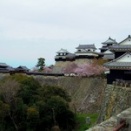 あたしのジョー vol.18 松山城